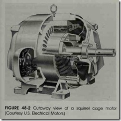 FIGURE 48-2 Cutaway view of a squirrel cage motor