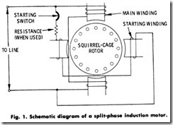 Fig. 1. Schematic diagram of a split-phase induction motor.