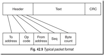 Fig. 42.9 Typical packet format