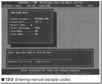 13-3  Entering manual escape codes.