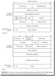 FIGURE 9.11           Protocols used in Internet.  (A)  Transmission control protocol (TCP).  (B)  Internet   protocol (IP). The data in each frame i