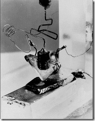 Figure 2.7. The first semiconductor transistor, created in 1947 by John Bardeen, Walter Brattain, and William Shockley while working for B