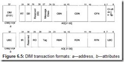 Figure 6.5 DIM transaction formats