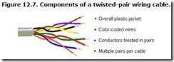 Figure 12.7. Components of a twisted-pair wiring cable.