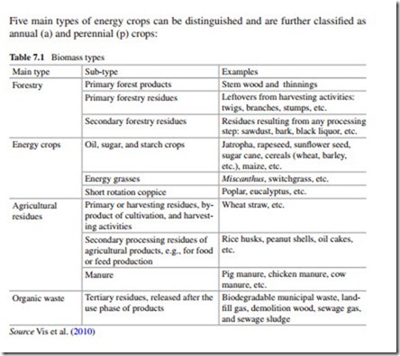 The Current Situation and Perspectives on the Use of Biomass in the Generation of Electricity-0182