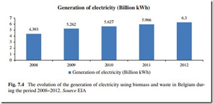 The Current Situation and Perspectives on the Use of Biomass in the Generation of Electricity-0187