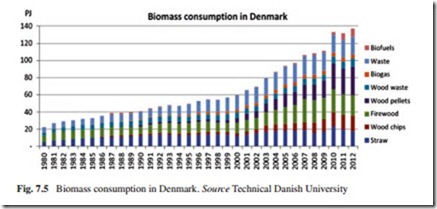 The Current Situation and Perspectives on the Use of Biomass in the Generation of Electricity-0188