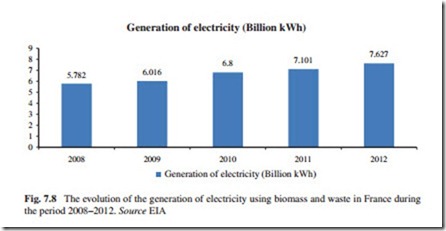 The Current Situation and Perspectives on the Use of Biomass in the Generation of Electricity-0192