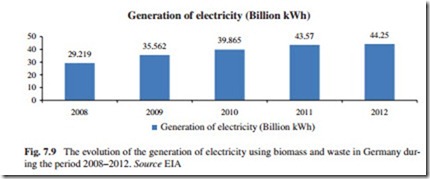 The Current Situation and Perspectives on the Use of Biomass in the Generation of Electricity-0193