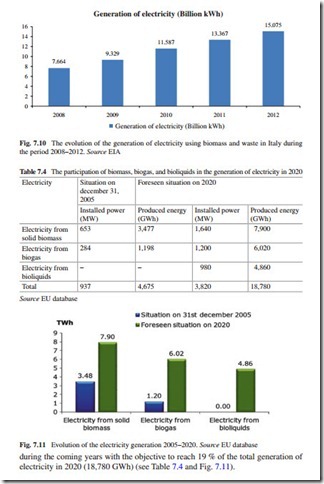 The Current Situation and Perspectives on the Use of Biomass in the Generation of Electricity-0194