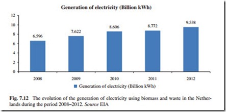 The Current Situation and Perspectives on the Use of Biomass in the Generation of Electricity-0195