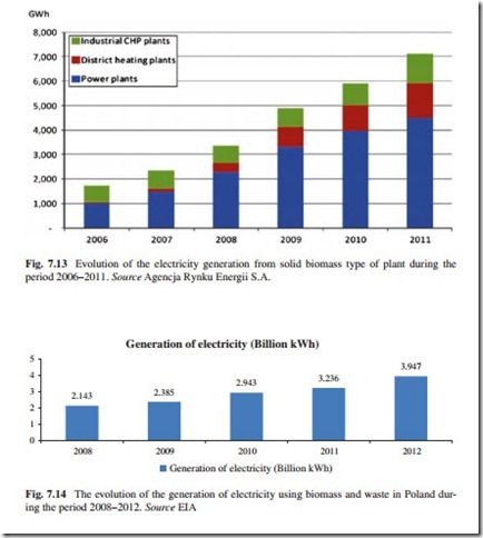 The Current Situation and Perspectives on the Use of Biomass in the Generation of Electricity-0196