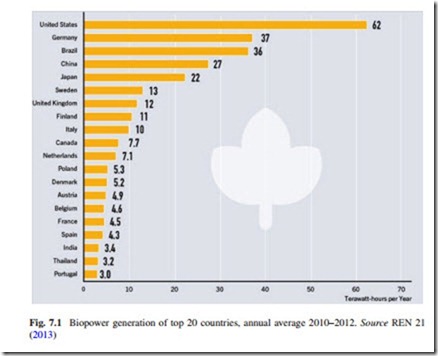 The Current Situation and Perspectives on the Use of Biomass in the Generation of Electricity-0183