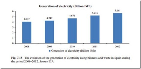 The Current Situation and Perspectives on the Use of Biomass in the Generation of Electricity-0197