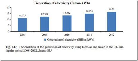 The Current Situation and Perspectives on the Use of Biomass in the Generation of Electricity-0199