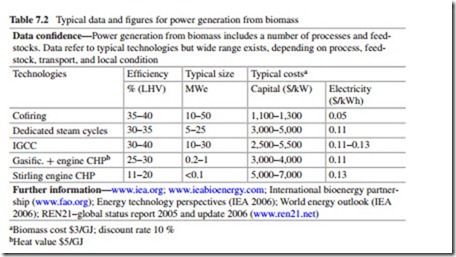 The Current Situation and Perspectives on the Use of Biomass in the Generation of Electricity-0185