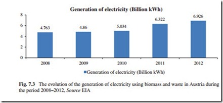 The Current Situation and Perspectives on the Use of Biomass in the Generation of Electricity-0186
