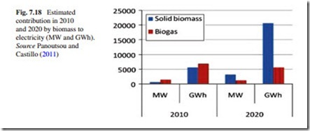 The Current Situation and Perspectives on the Use of Biomass in the Generation of Electricity-0200